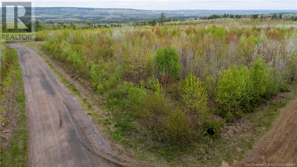 Lot 37 Davidson Road, Anagance, New Brunswick  E4Z 1E1 - Photo 10 - NB119074