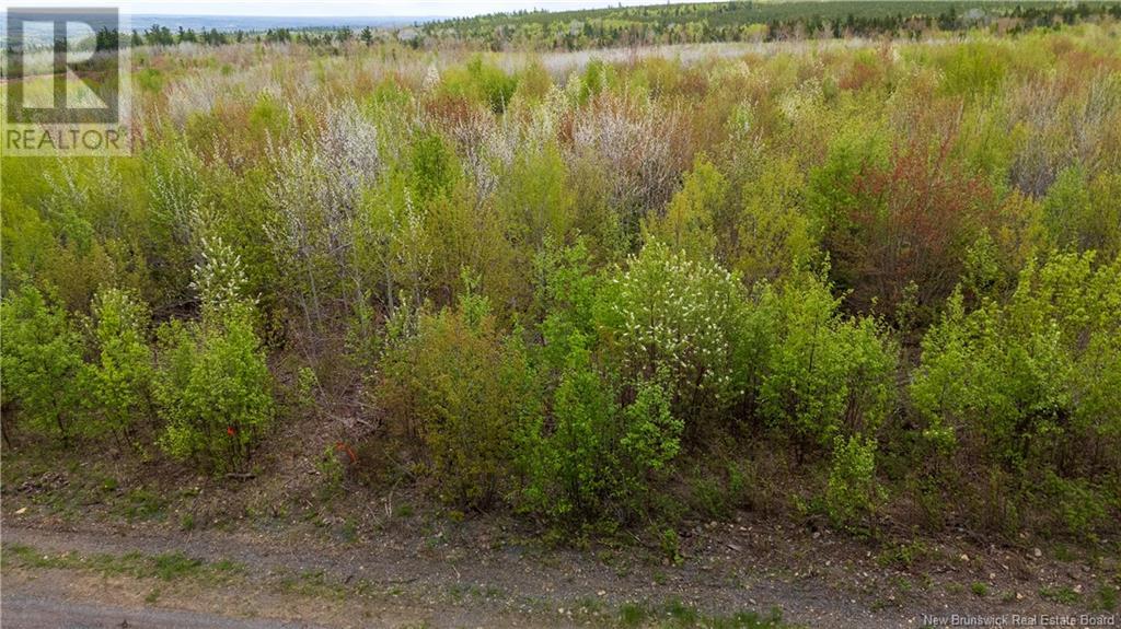 Lot 37 Davidson Road, Anagance, New Brunswick  E4Z 1E1 - Photo 12 - NB119074