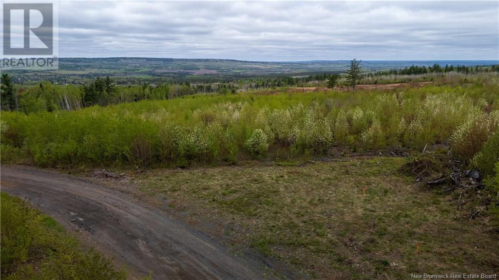 Lot 37 Davidson Road, Anagance, New Brunswick  E4Z 1E1 - Photo 14 - NB119074