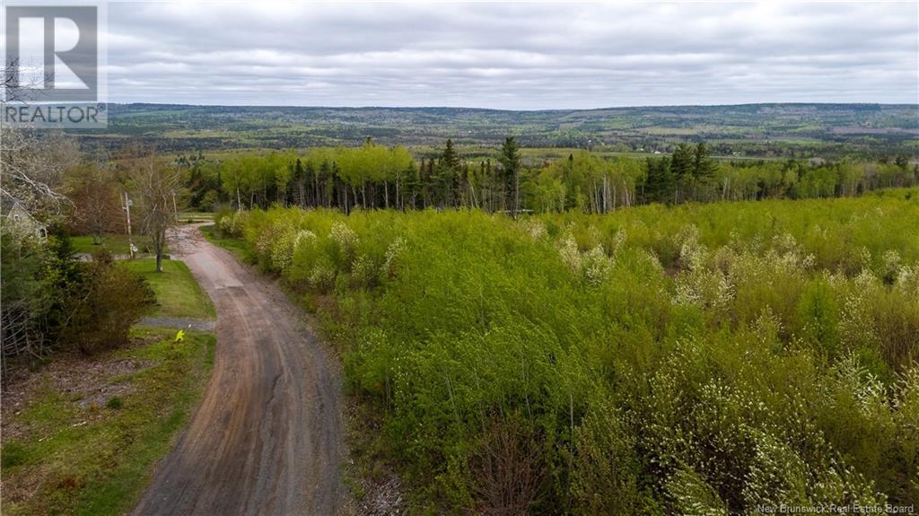 Lot 37 Davidson Road, Anagance, New Brunswick  E4Z 1E1 - Photo 15 - NB119074