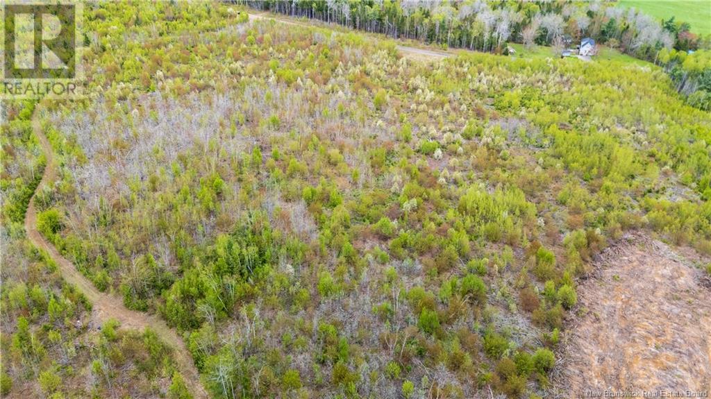 Lot 37 Davidson Road, Anagance, New Brunswick  E4Z 1E1 - Photo 4 - NB119074