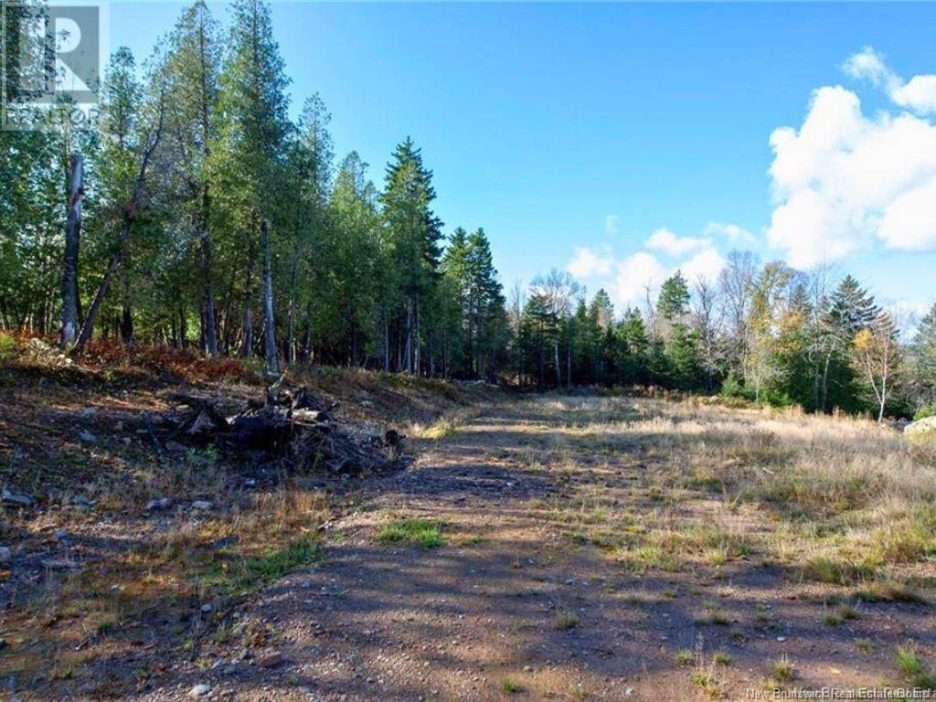 Lot Kenneth Drive, Quispamsis, New Brunswick E2G 1H9 - Photo 8 - NB119106