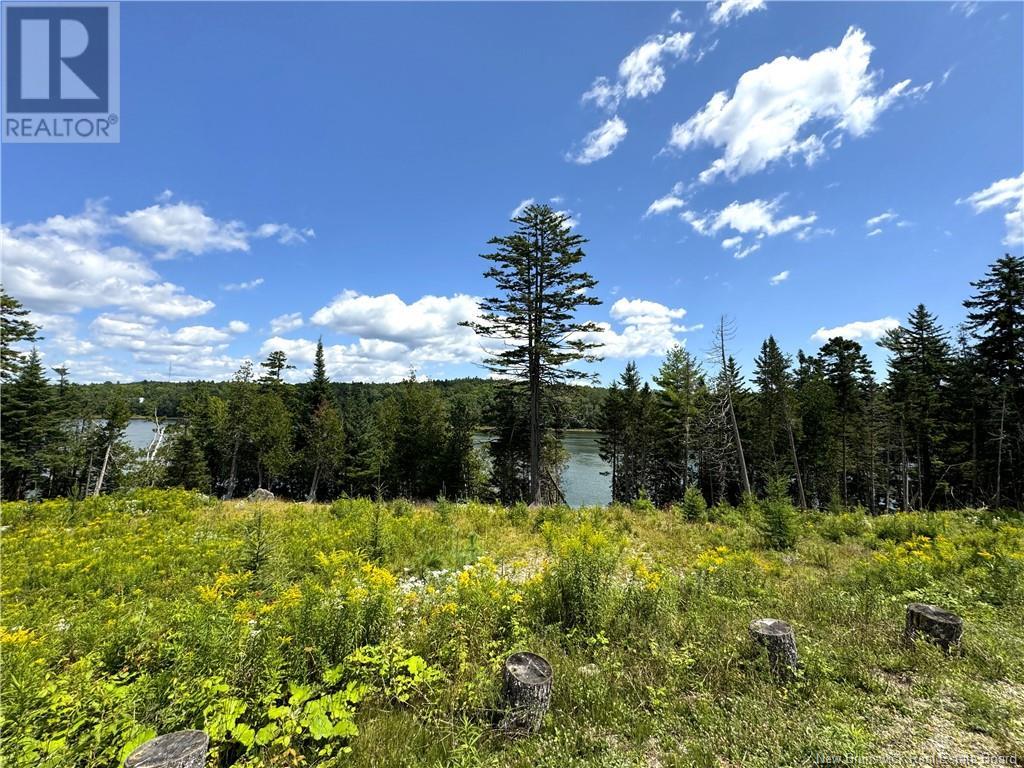 379 Hills Point Road, Oak Bay, New Brunswick  E3L 4K5 - Photo 10 - NB119039