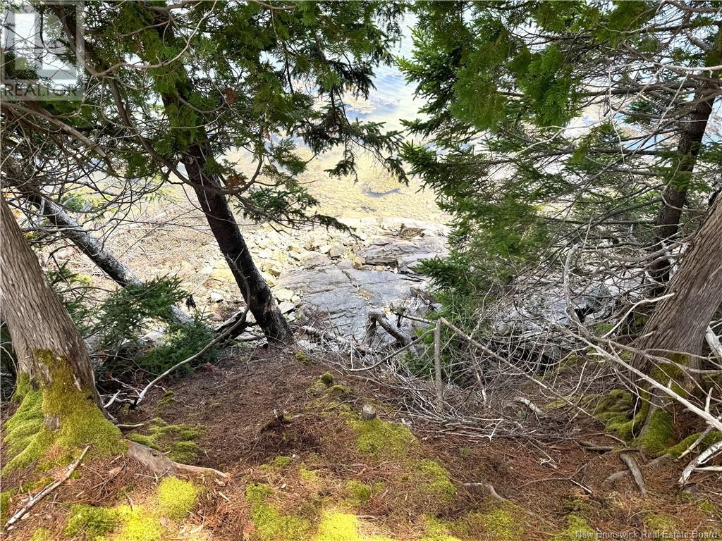 379 Hills Point Road, Oak Bay, New Brunswick  E3L 4K5 - Photo 11 - NB119039