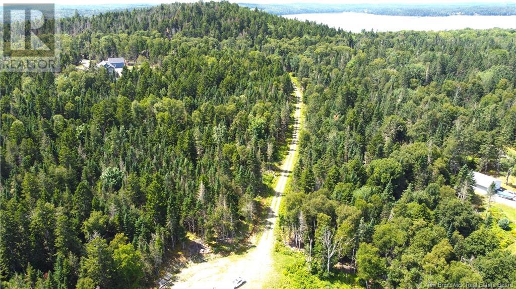 379 Hills Point Road, Oak Bay, New Brunswick  E3L 4K5 - Photo 15 - NB119039