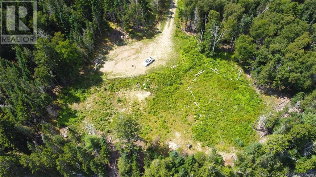 379 Hills Point Road, Oak Bay, New Brunswick  E3L 4K5 - Photo 16 - NB119039