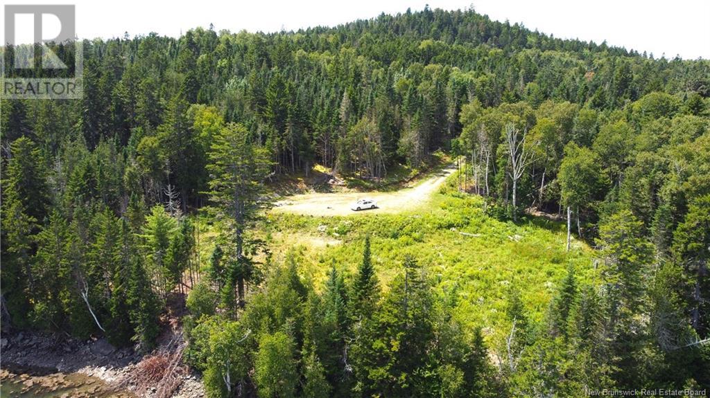 379 Hills Point Road, Oak Bay, New Brunswick  E3L 4K5 - Photo 18 - NB119039