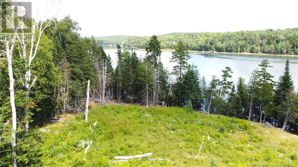 379 Hills Point Road, Oak Bay, New Brunswick  E3L 4K5 - Photo 20 - NB119039