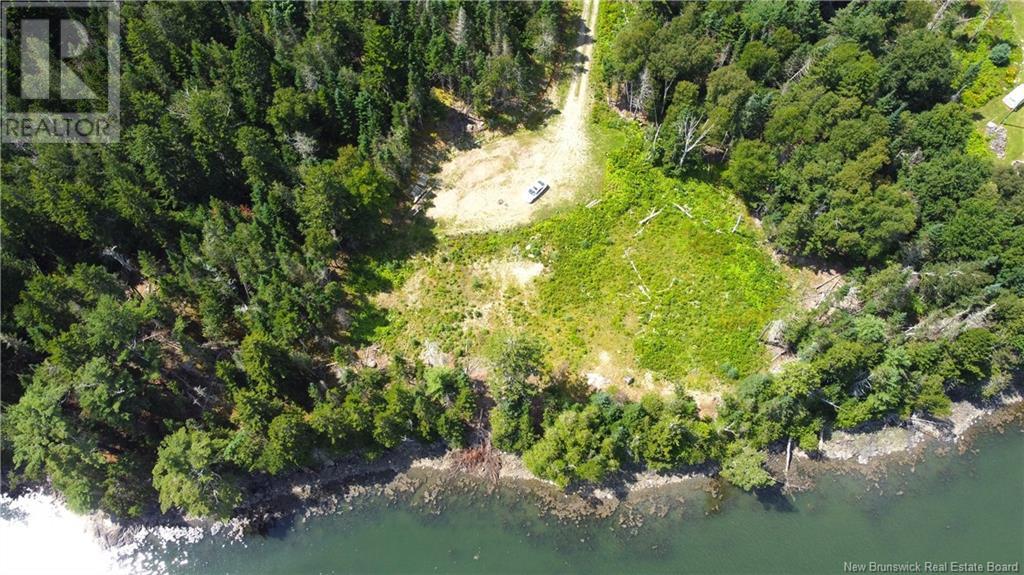 379 Hills Point Road, Oak Bay, New Brunswick  E3L 4K5 - Photo 5 - NB119039