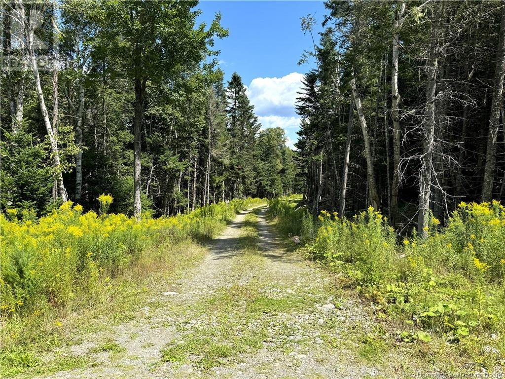 379 Hills Point Road, Oak Bay, New Brunswick  E3L 4K5 - Photo 6 - NB119039