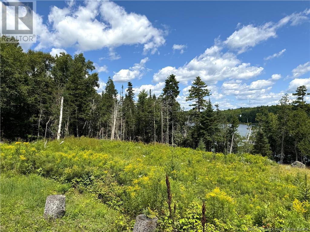 379 Hills Point Road, Oak Bay, New Brunswick  E3L 4K5 - Photo 7 - NB119039