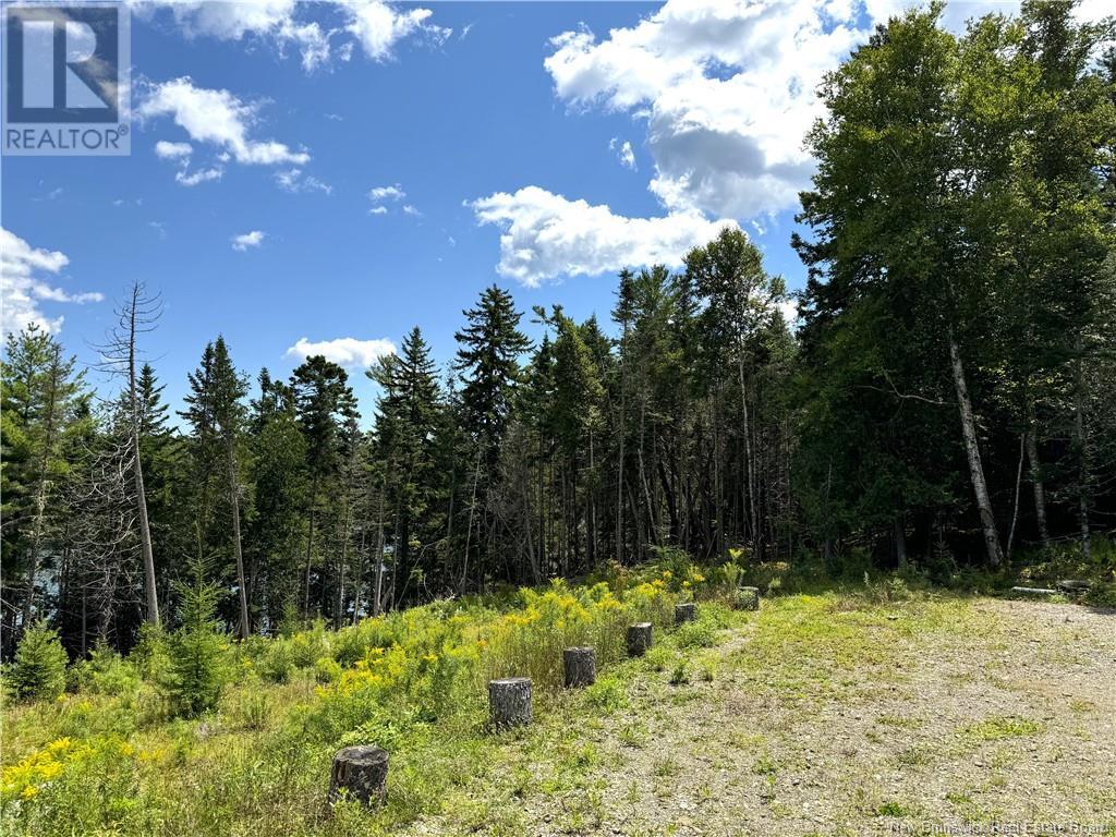 379 Hills Point Road, Oak Bay, New Brunswick  E3L 4K5 - Photo 9 - NB119039