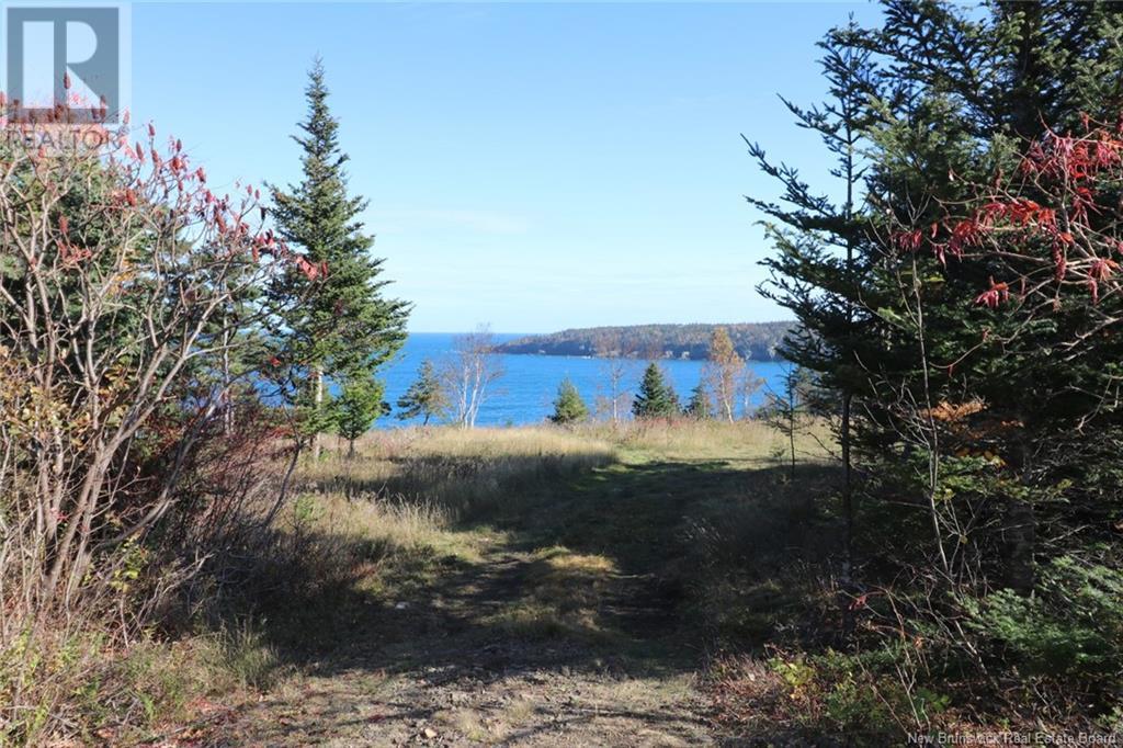 Lot 10-06 Golden Mile Drive, Grand Manan, New Brunswick  E5G 1N1 - Photo 20 - NB119145