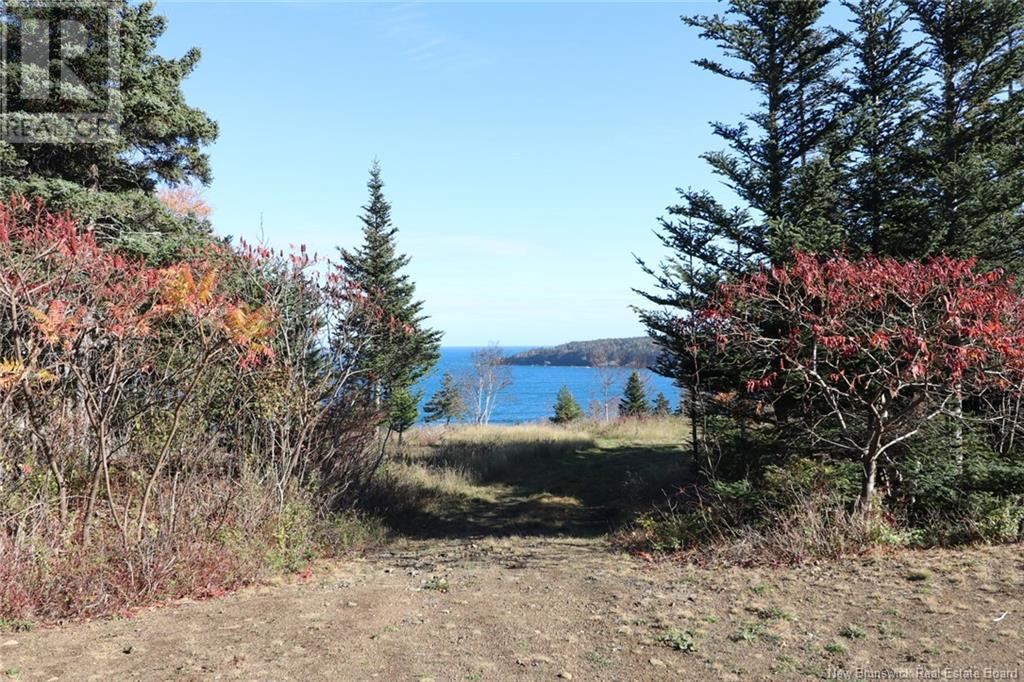 Lot 10-06 Golden Mile Drive, Grand Manan, New Brunswick  E5G 1N1 - Photo 21 - NB119145