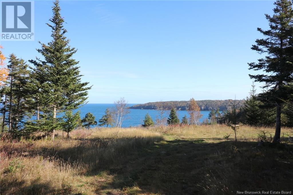Lot 10-06 Golden Mile Drive, Grand Manan, New Brunswick  E5G 1N1 - Photo 26 - NB119145