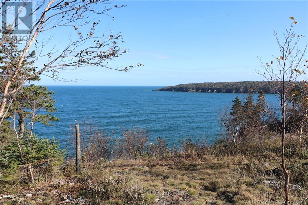 Lot 10-06 Golden Mile Drive, Grand Manan, New Brunswick  E5G 1N1 - Photo 29 - NB119145