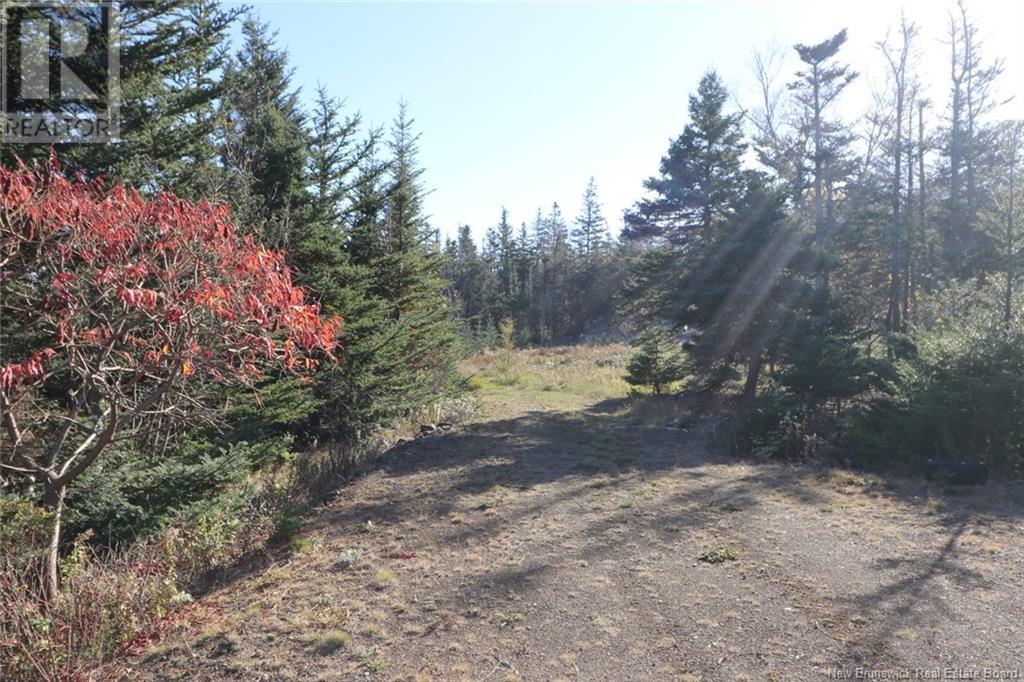 Lot 10-05 Golden Mile Drive, Grand Manan, New Brunswick  E5G 1N1 - Photo 23 - NB119141