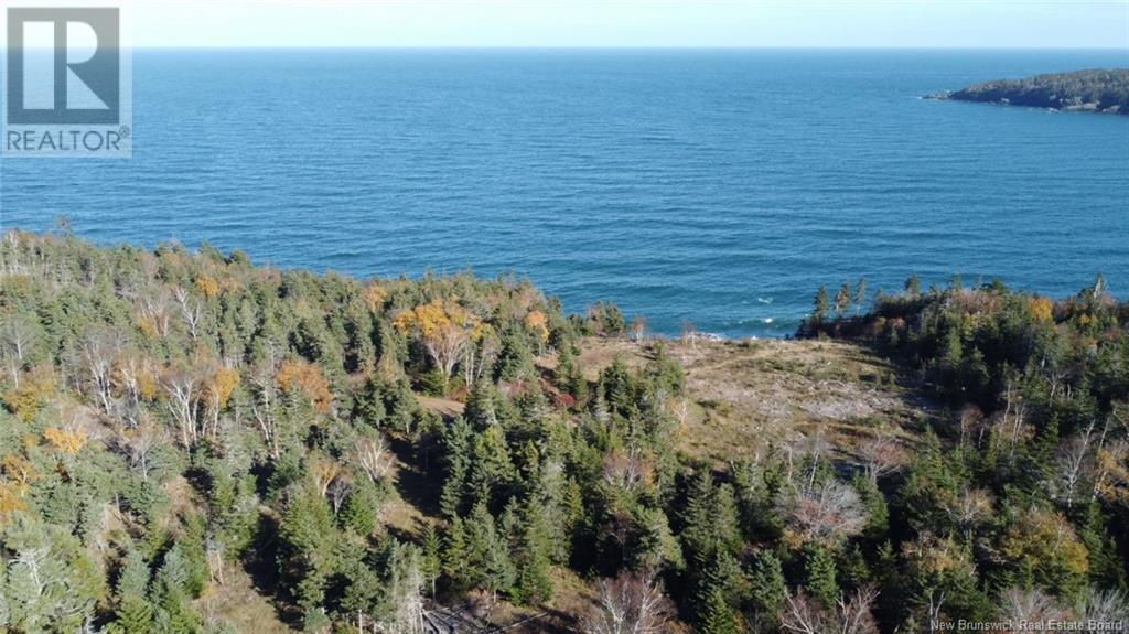 Lot 10-05 Golden Mile Drive, Grand Manan, New Brunswick  E5G 1N1 - Photo 7 - NB119141