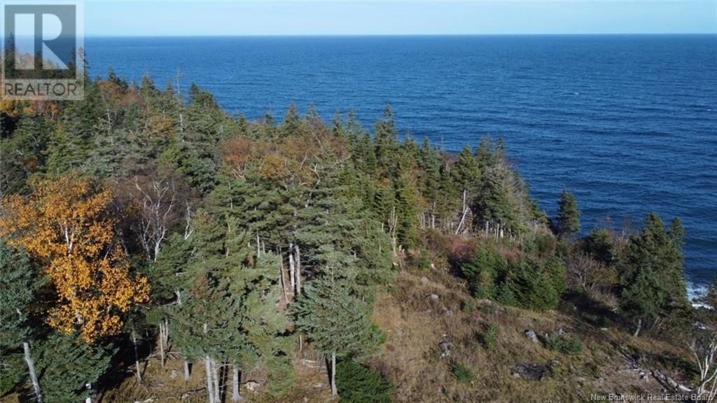 Lot 10-04 Golden Mile Drive, Grand Manan, New Brunswick  E5G 1N1 - Photo 14 - NB119114