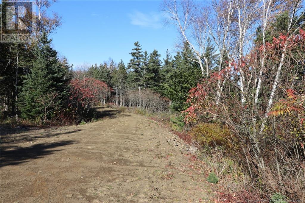 Lot 10-04 Golden Mile Drive, Grand Manan, New Brunswick  E5G 1N1 - Photo 24 - NB119114