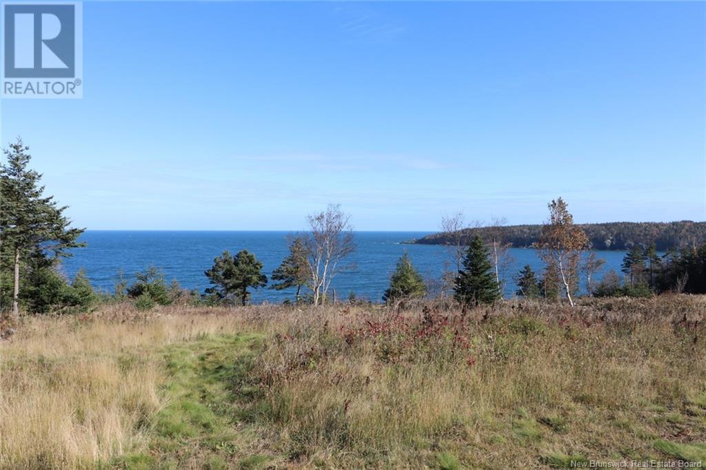Lot 10-04 Golden Mile Drive, Grand Manan, New Brunswick  E5G 1N1 - Photo 27 - NB119114