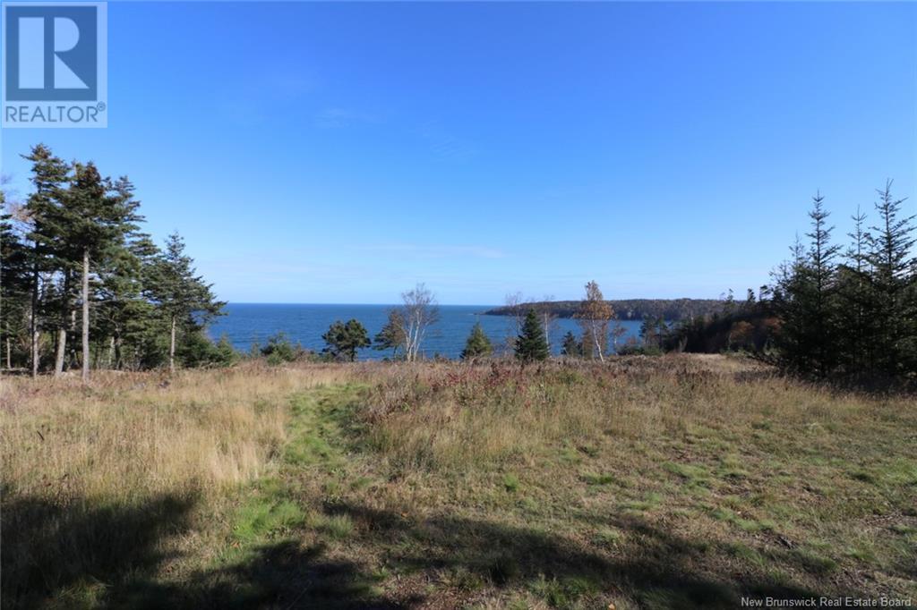 Lot 10-04 Golden Mile Drive, Grand Manan, New Brunswick  E5G 1N1 - Photo 28 - NB119114
