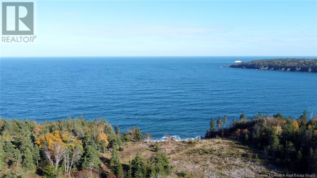 Lot 10-04 Golden Mile Drive, Grand Manan, New Brunswick  E5G 1N1 - Photo 6 - NB119114