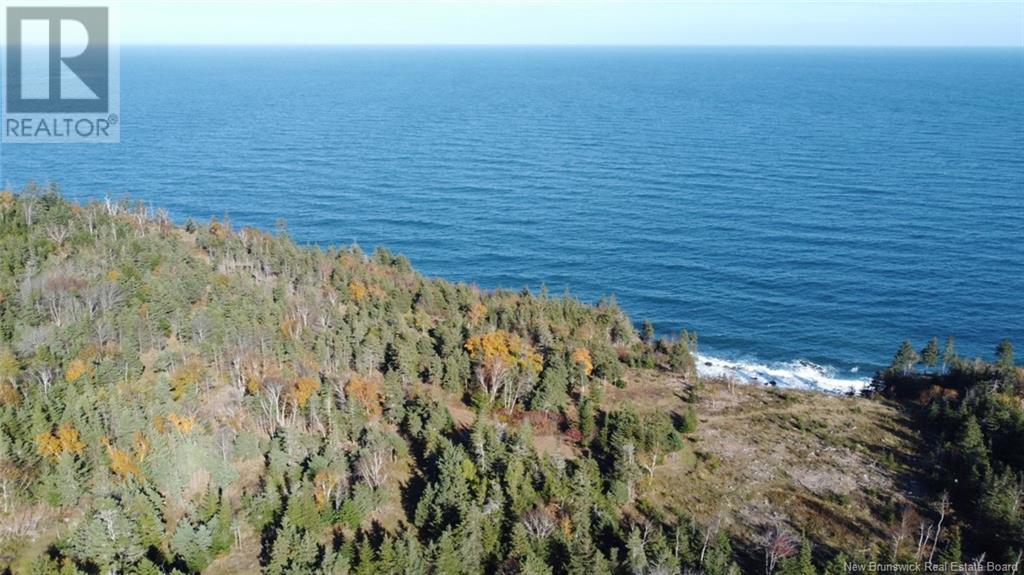 Lot 10-04 Golden Mile Drive, Grand Manan, New Brunswick  E5G 1N1 - Photo 9 - NB119114