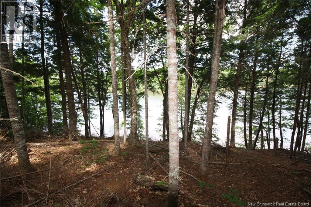 15-59 Bass River Point Route, Bass River, New Brunswick E4T 1J3 - Photo 5 - NB119265