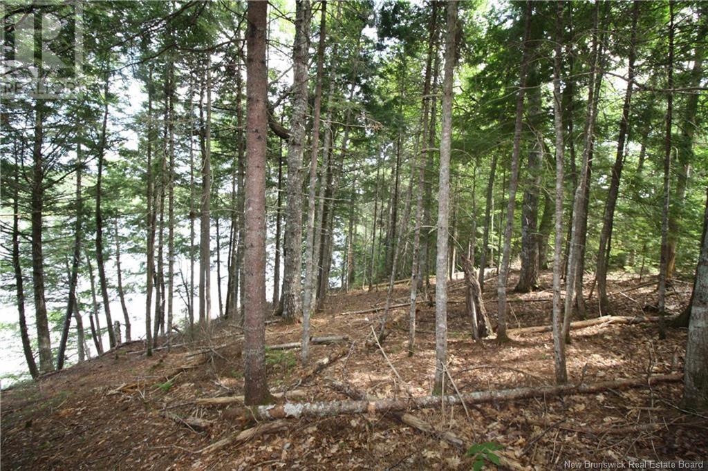 15-59 Bass River Point Route, Bass River, New Brunswick E4T 1J3 - Photo 6 - NB119265