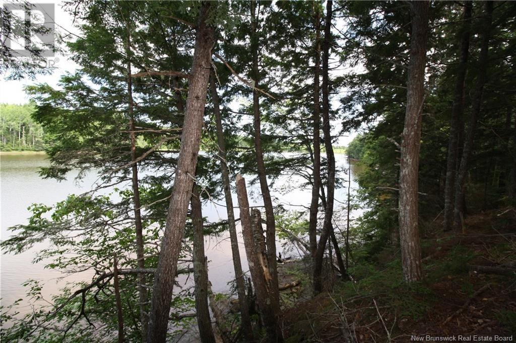15-59 Bass River Point Route, Bass River, New Brunswick E4T 1J3 - Photo 8 - NB119265
