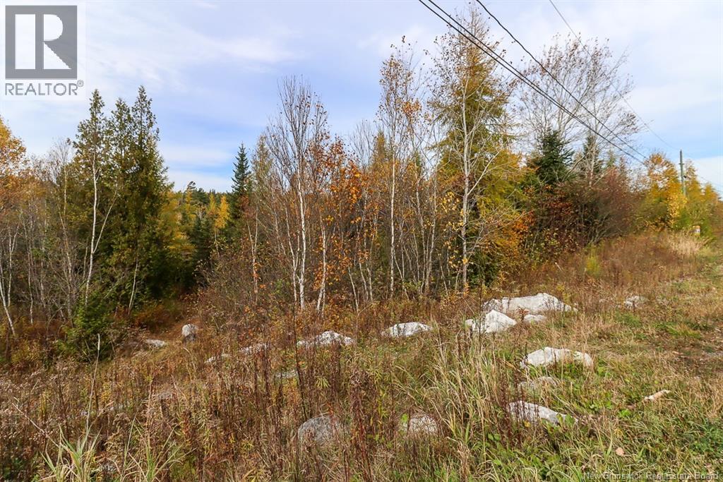 19 Bridgeford Drive, Quispamsis, New Brunswick  E2S 0C3 - Photo 12 - NB119409