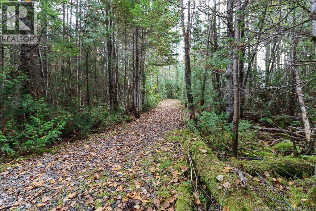 19 Bridgeford Drive, Quispamsis, New Brunswick  E2S 0C3 - Photo 19 - NB119409