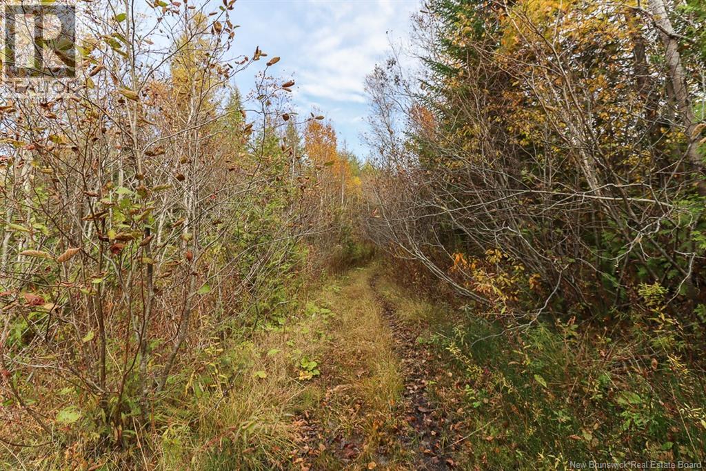 19 Bridgeford Drive, Quispamsis, New Brunswick  E2S 0C3 - Photo 20 - NB119409