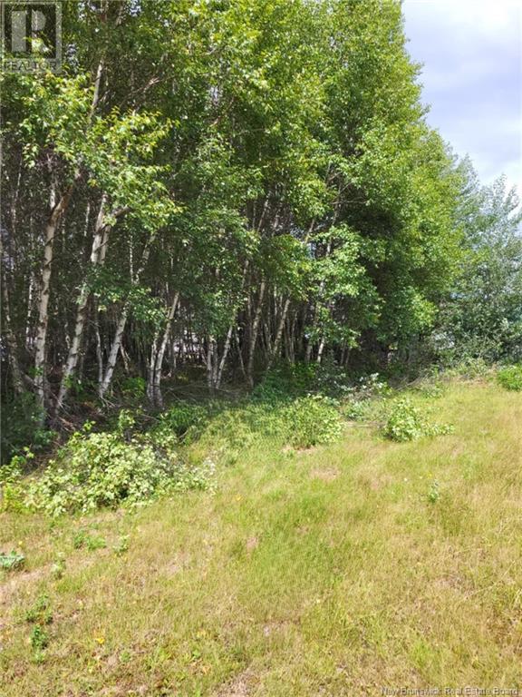 Lot D Richard Route 535, Saint-Thomas-De-Kent, New Brunswick E1H 1V8 - Photo 2 - NB119426