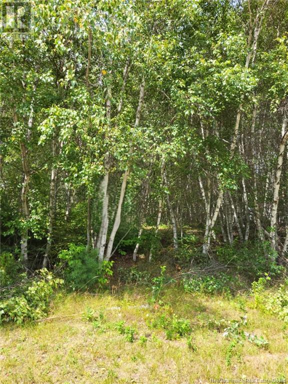 Lot D Richard Route 535, Saint-Thomas-De-Kent, New Brunswick E1H 1V8 - Photo 3 - NB119426