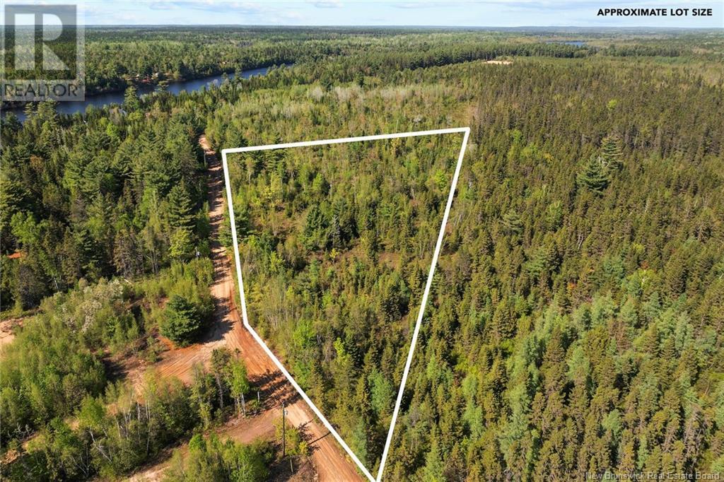 Lot Wegeseum Road, Chipman, New Brunswick  O0O 0O0 - Photo 1 - NB119603