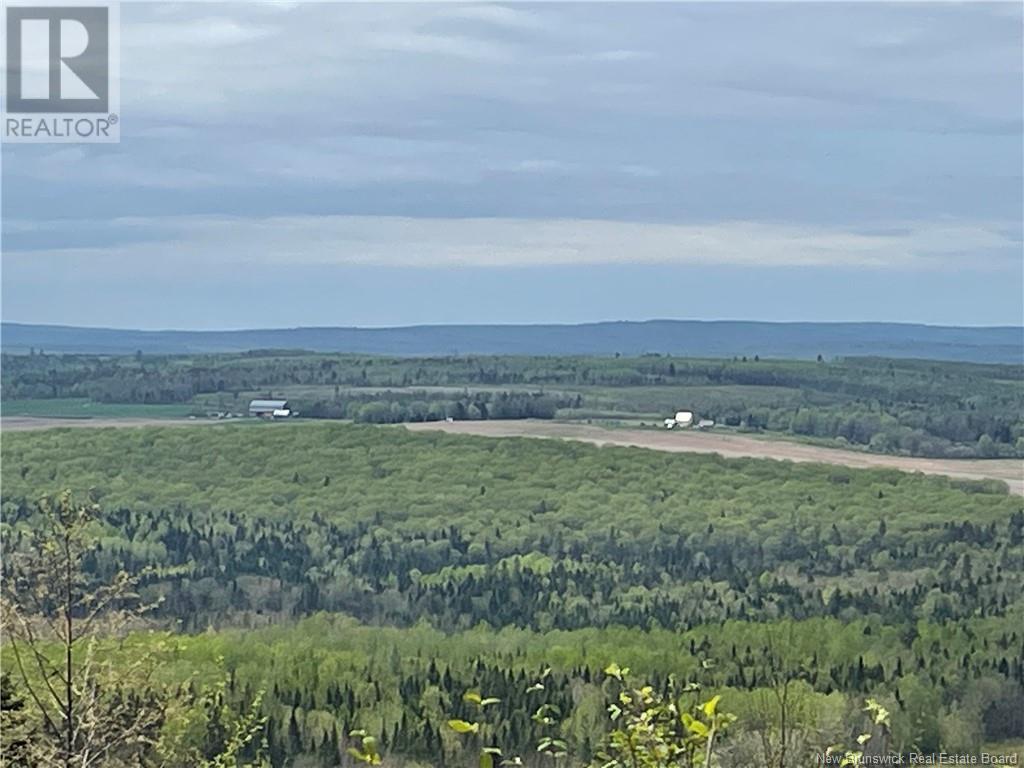 Lot Howland Ridge Road, Millville, New Brunswick  E6E 1Y6 - Photo 1 - NB119619