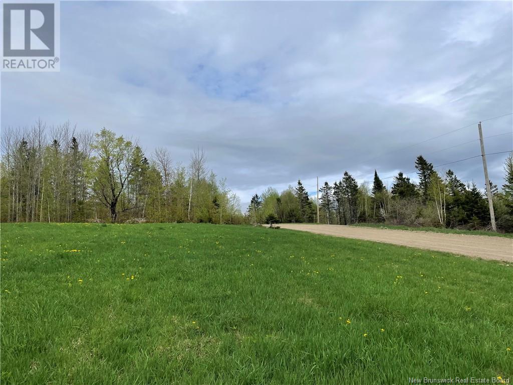 Lot Howland Ridge Road, Millville, New Brunswick  E6E 1Y6 - Photo 10 - NB119619