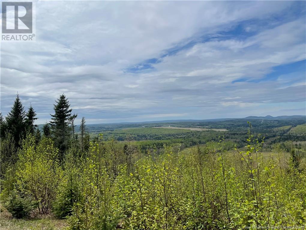 Lot Howland Ridge Road, Millville, New Brunswick  E6E 1Y6 - Photo 11 - NB119619