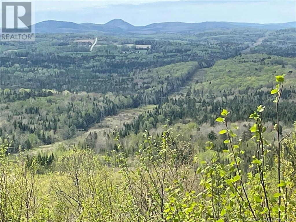Lot Howland Ridge Road, Millville, New Brunswick  E6E 1Y6 - Photo 3 - NB119619