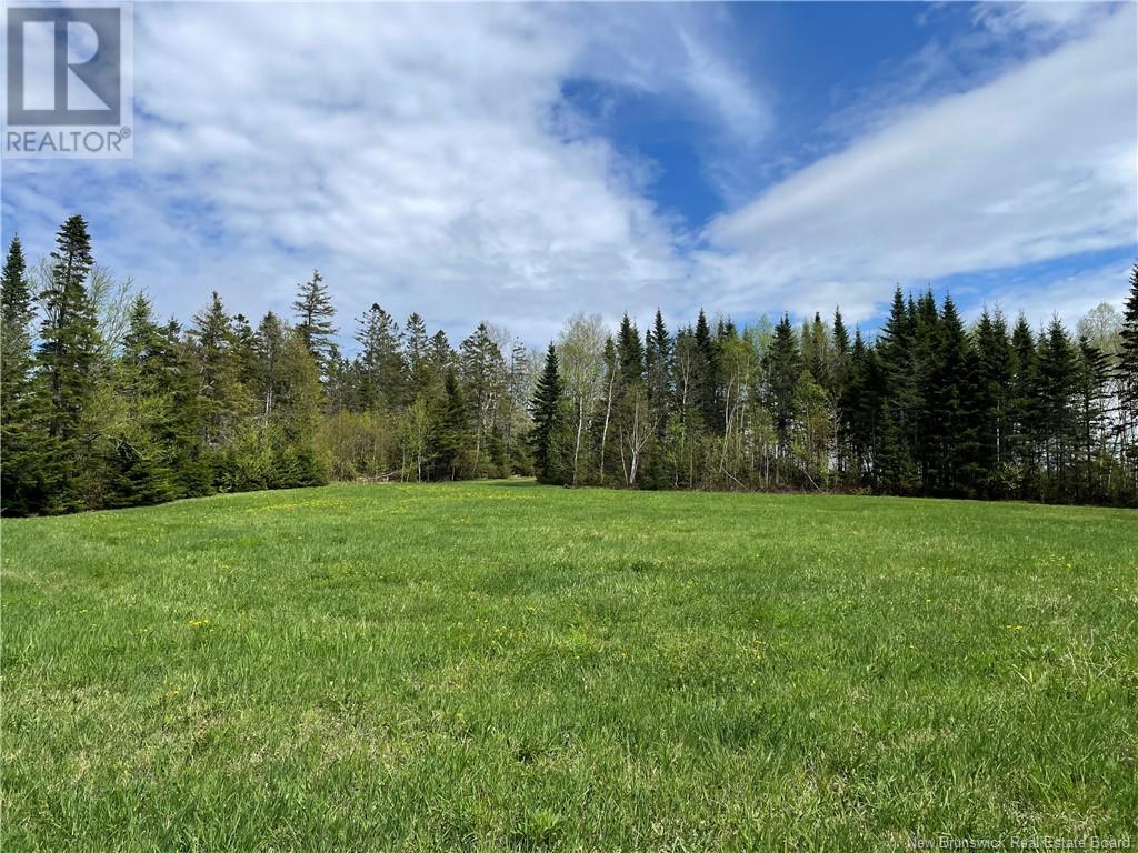 Lot Howland Ridge Road, Millville, New Brunswick  E6E 1Y6 - Photo 4 - NB119619