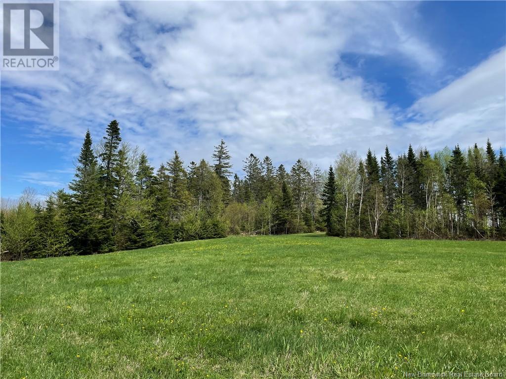 Lot Howland Ridge Road, Millville, New Brunswick  E6E 1Y6 - Photo 5 - NB119619