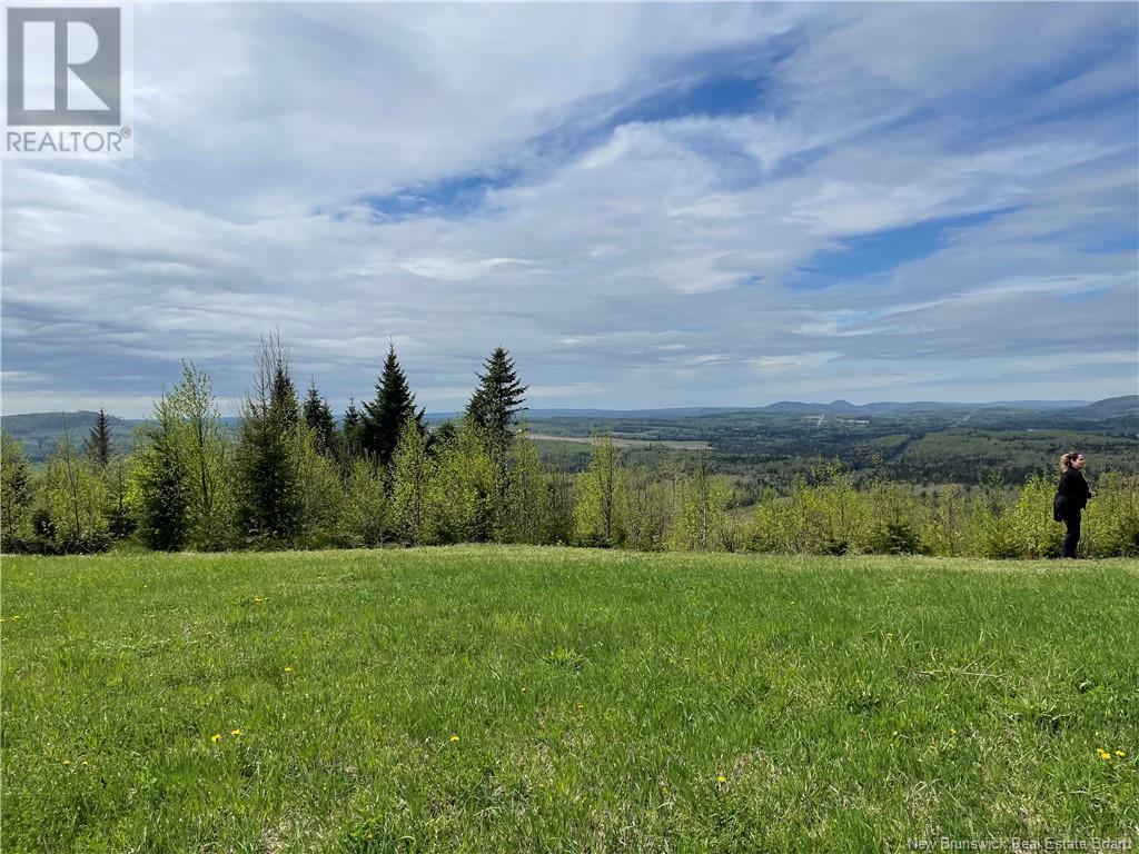 Lot Howland Ridge Road, Millville, New Brunswick  E6E 1Y6 - Photo 7 - NB119619