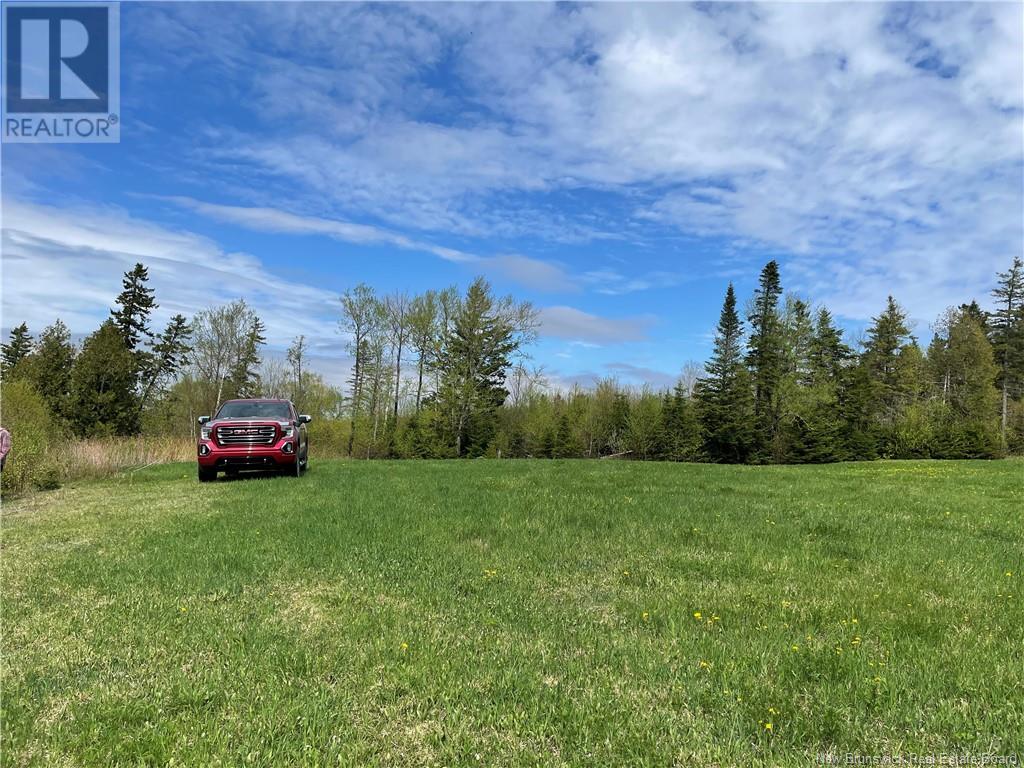 Lot Howland Ridge Road, Millville, New Brunswick  E6E 1Y6 - Photo 8 - NB119619