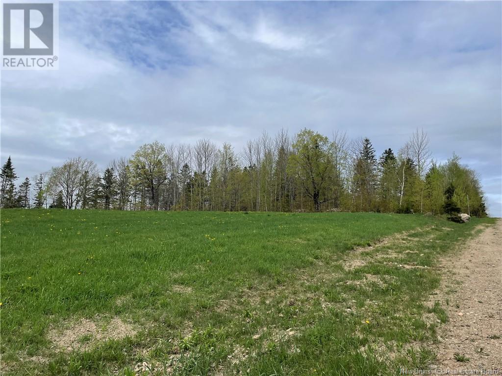 Lot Howland Ridge Road, Millville, New Brunswick  E6E 1Y6 - Photo 9 - NB119619