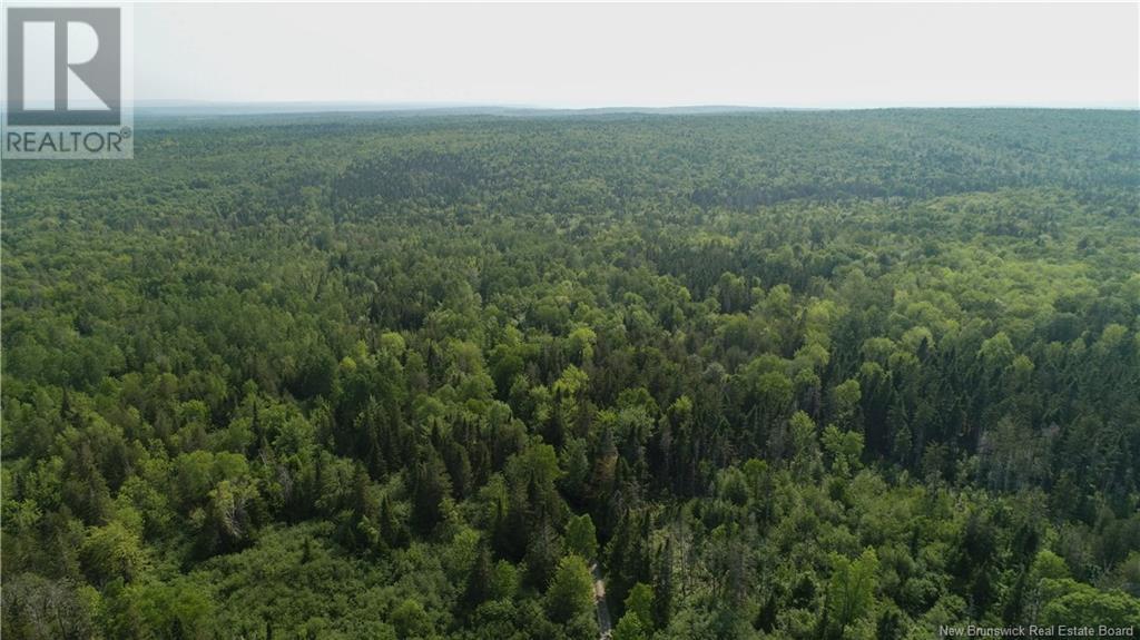 327 Maple Grove Road, Maple Grove, New Brunswick  E6B 2B5 - Photo 33 - NB119745