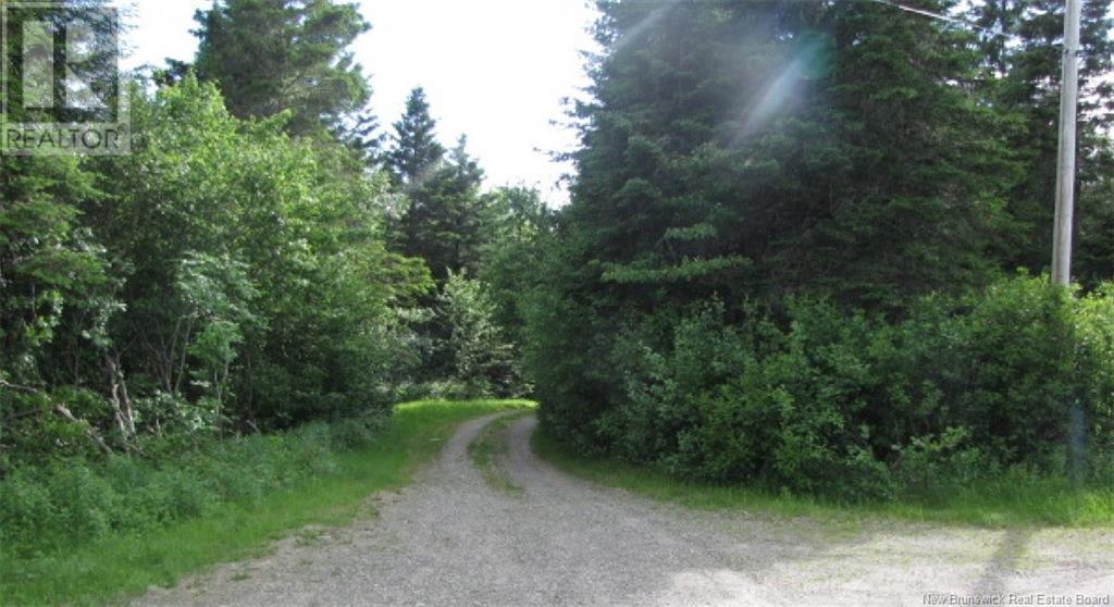 327 Maple Grove Road, Maple Grove, New Brunswick  E6B 2B5 - Photo 5 - NB119745