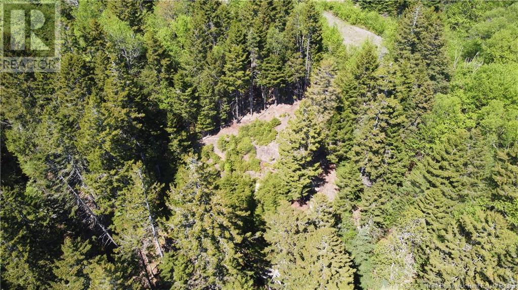 0 Shore Road, St George, New Brunswick  E5C 3L2 - Photo 15 - NB119741