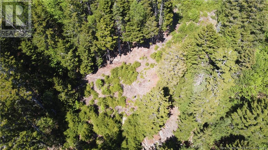 0 Shore Road, St George, New Brunswick  E5C 3L2 - Photo 16 - NB119741